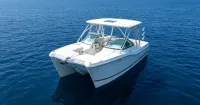 2013 World Cat 290 DC