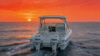 2026 World Cat 230 DC